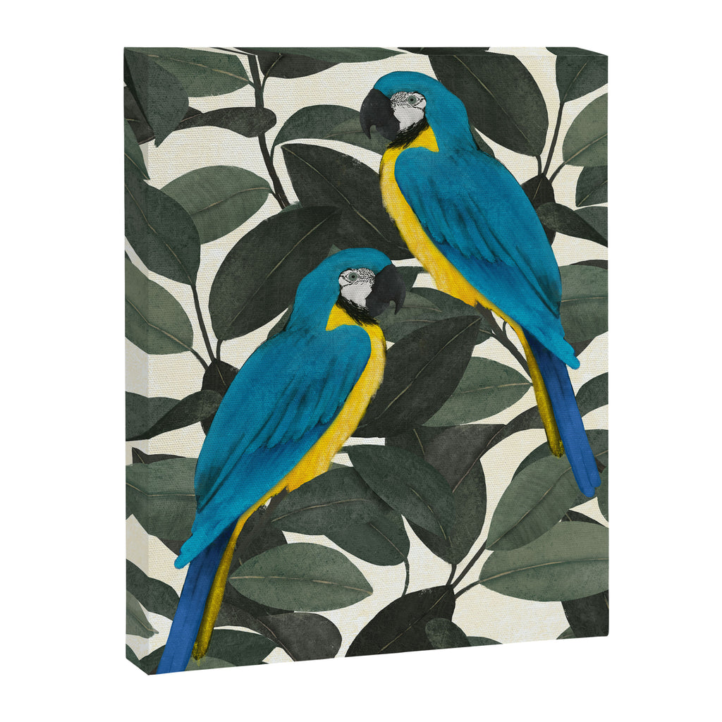 Parrots and jungle II Canvas Print Gallery Image 6