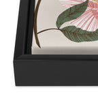 Peonies flowers I Framed Canvas Print Gallery Image 3