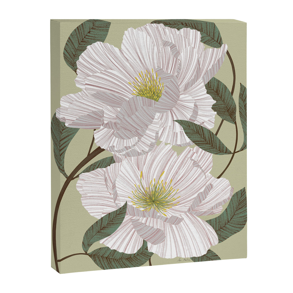 Peonies flowers II Canvas Print Gallery Image 6