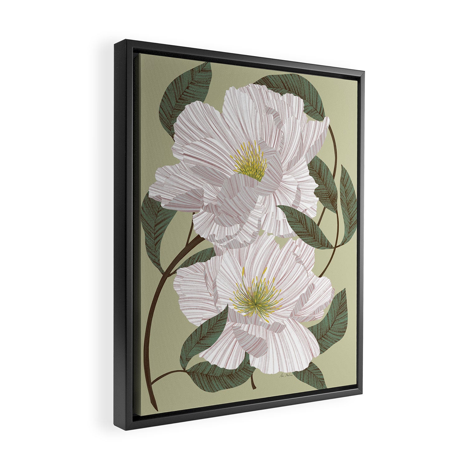 Peonies flowers II Framed Canvas Print Gallery Image 2