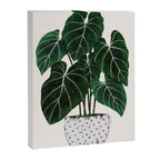philodendron pot plant Canvas Print Gallery Image 6