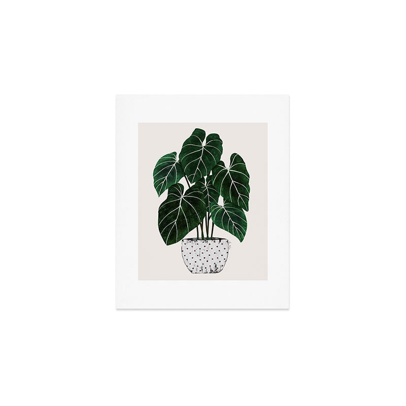 philodendron pot plant Art Print Gallery Image 1