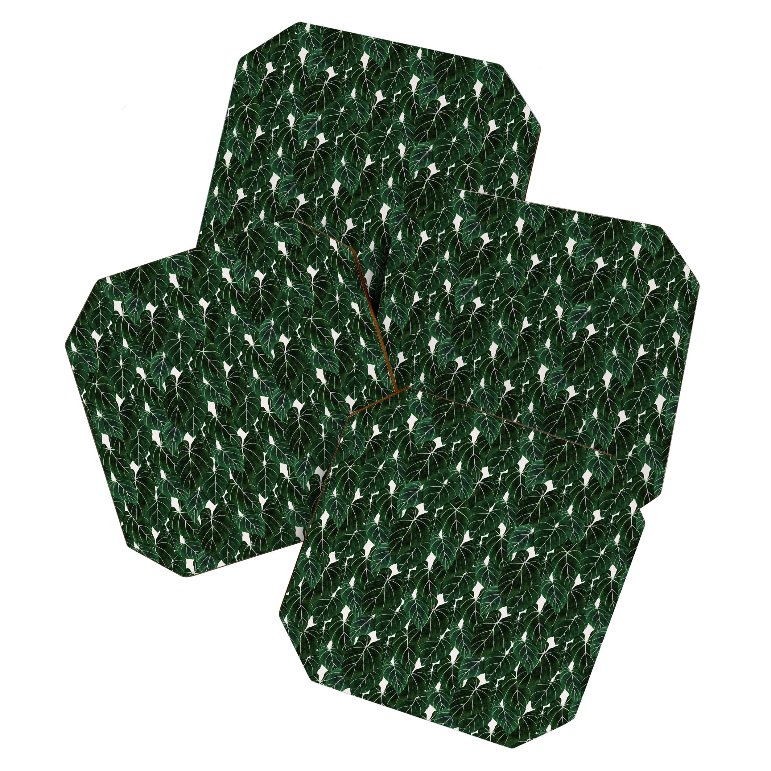 philodendron pot plant Coaster Gallery Image 1