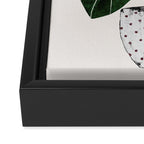 philodendron pot plant Framed Canvas Print Gallery Image 3