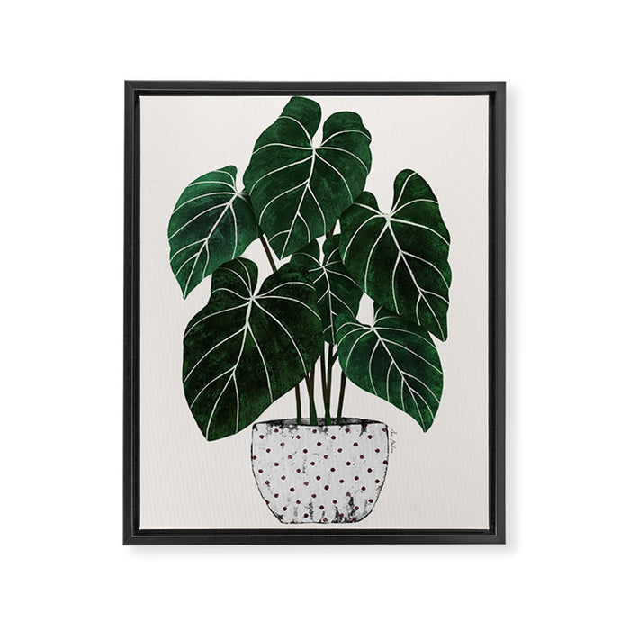 philodendron pot plant Framed Canvas Print Gallery Image 1
