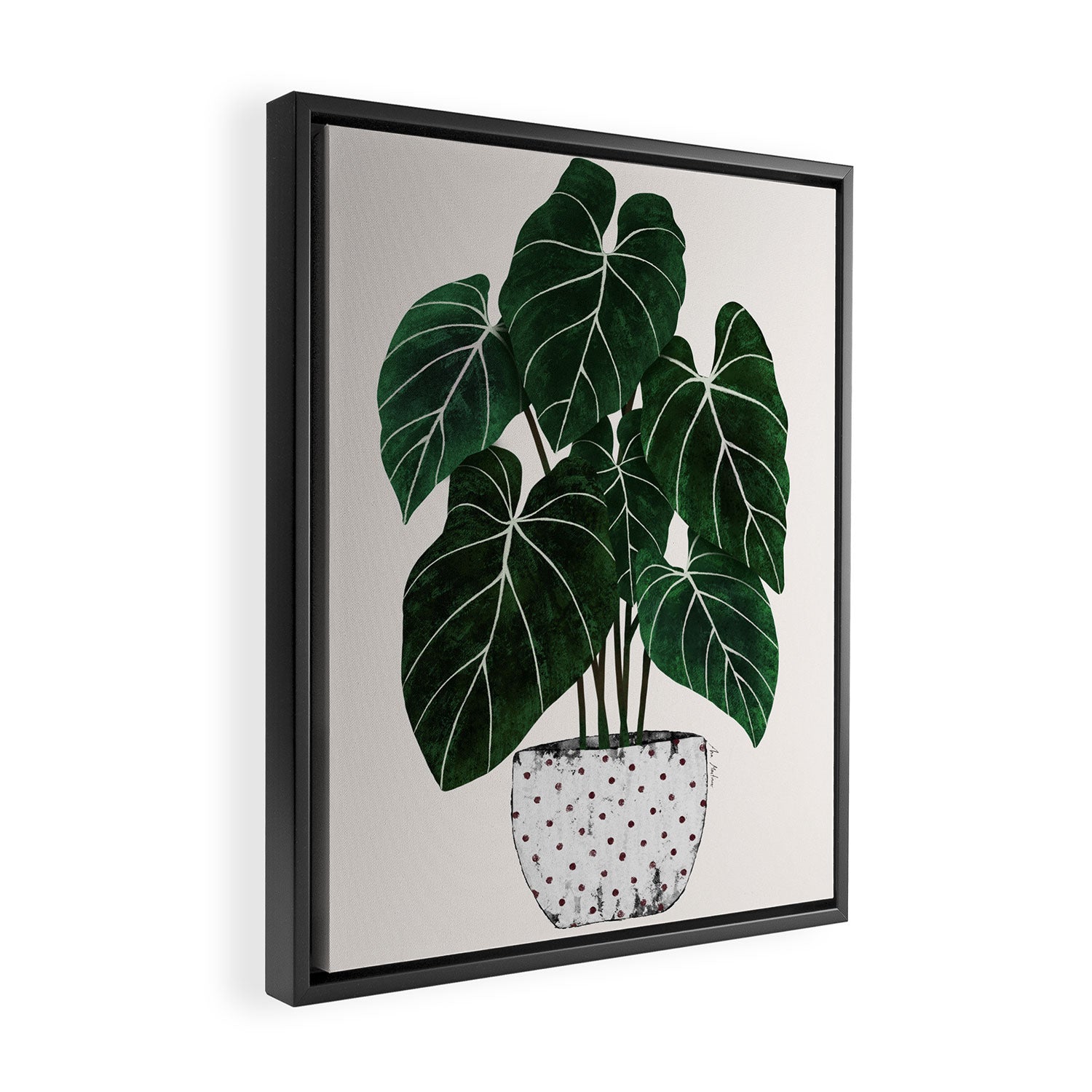 philodendron pot plant Framed Canvas Print Gallery Image 2
