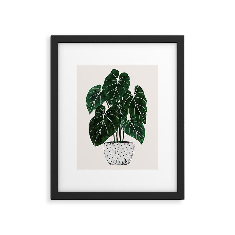 philodendron pot plant Framed Art Print Gallery Image 5
