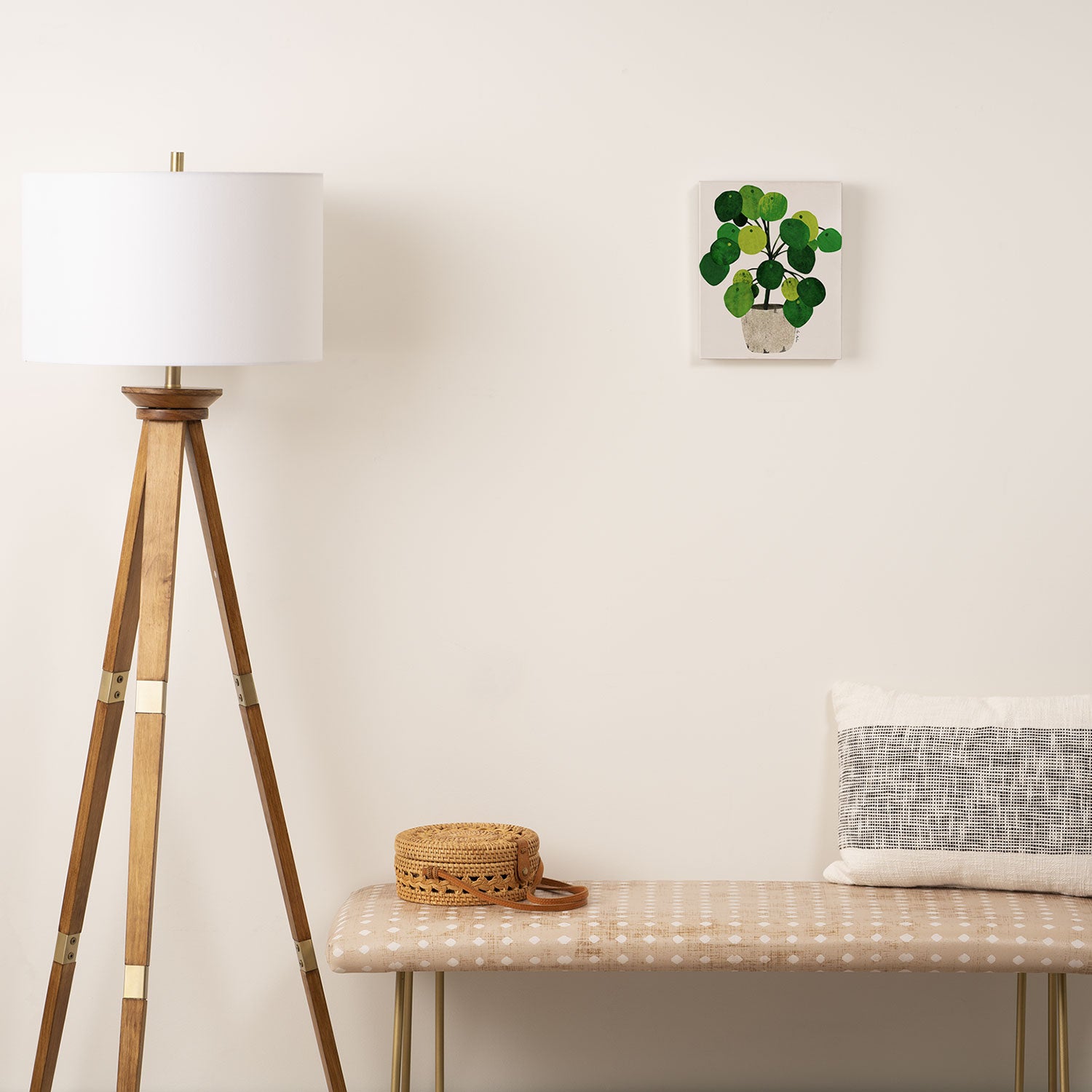 Pilea Peperomioides interior plant Canvas Print Gallery Image 2