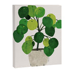 Pilea Peperomioides interior plant Canvas Print Gallery Image 6