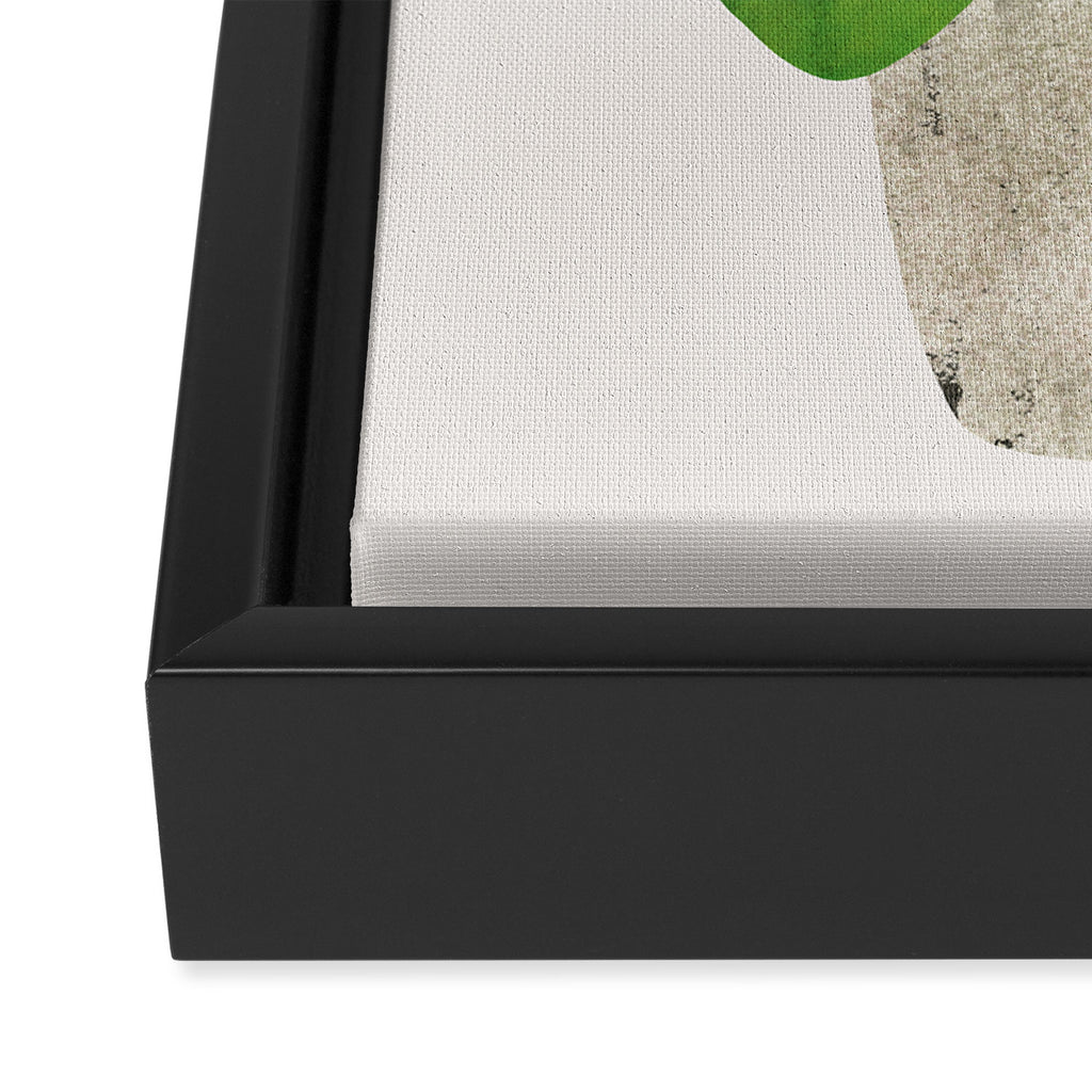Pilea Peperomioides interior plant Framed Canvas Print Gallery Image 3