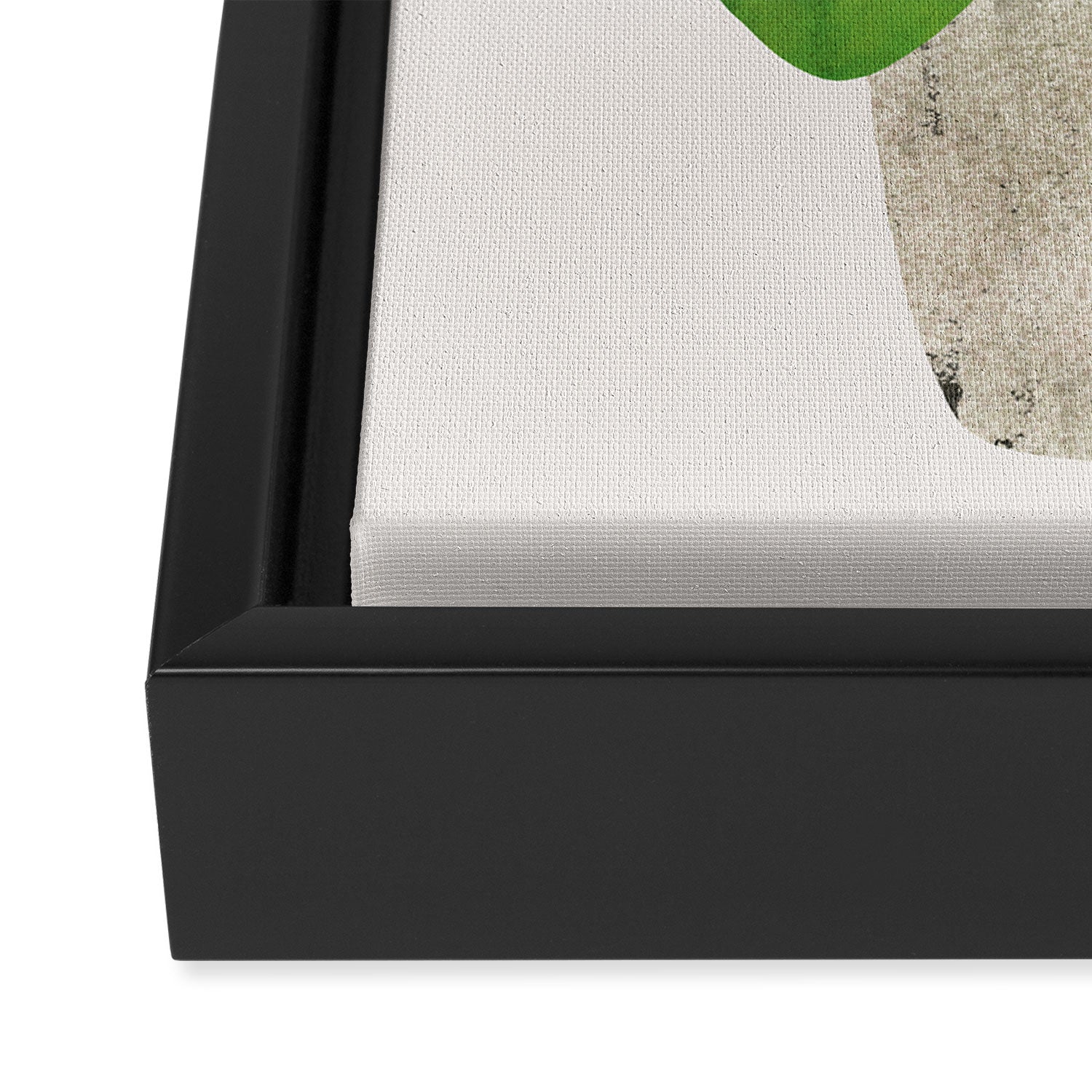 Pilea Peperomioides interior plant Framed Canvas Print Gallery Image 3
