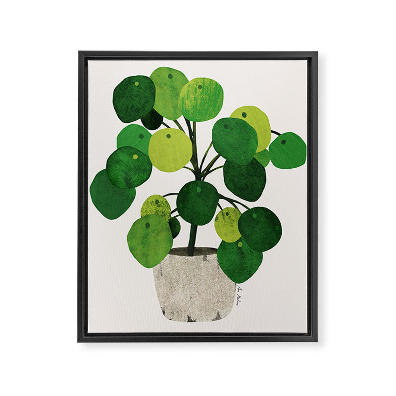 Pilea Peperomioides interior plant Framed Canvas Print Gallery Image 6