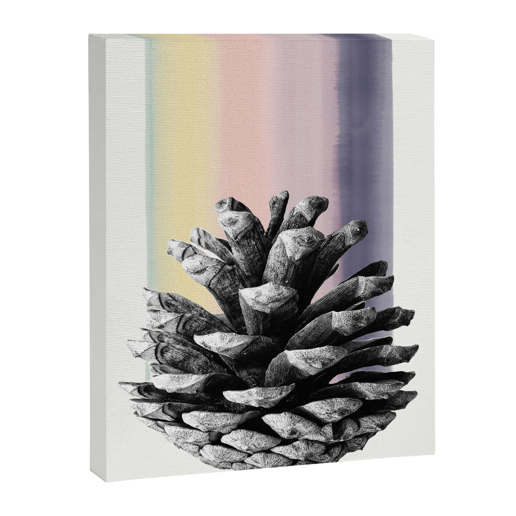 pinecone nature II Canvas Print Gallery Image 6