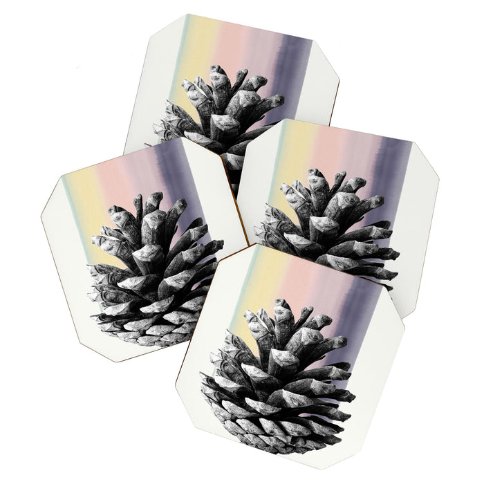pinecone nature II Coaster Gallery Image 1