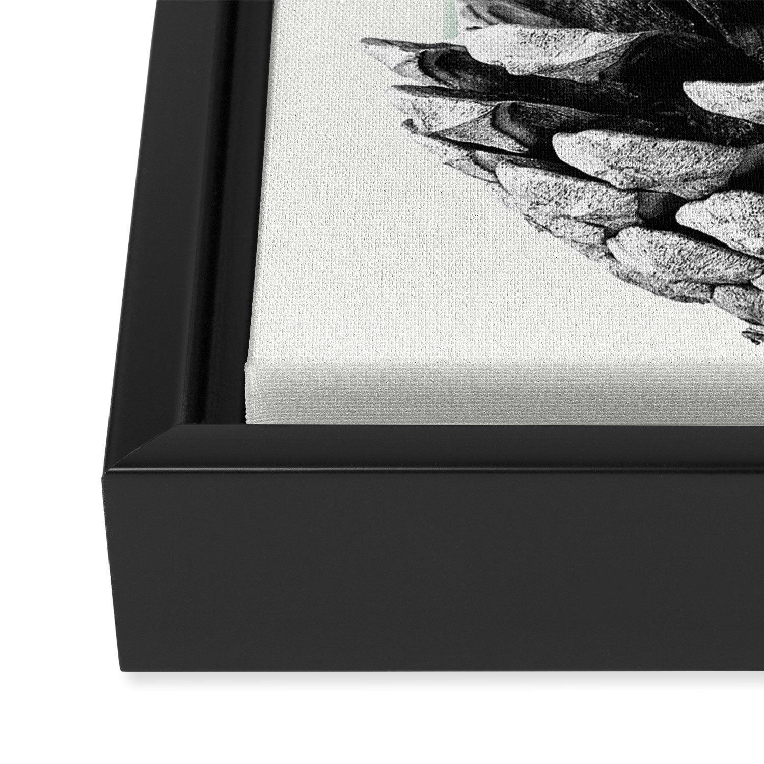 pinecone nature II Framed Canvas Print Gallery Image 3