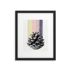 pinecone nature II Framed Art Print Gallery Image 5