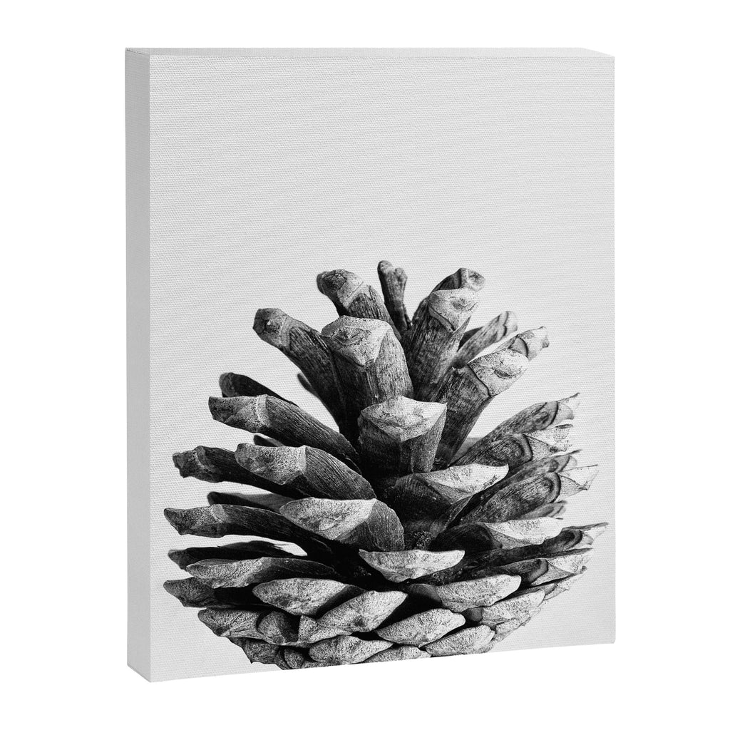 pinecone nature plants Canvas Print Gallery Image 6