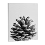 pinecone nature plants Canvas Print Gallery Image 6