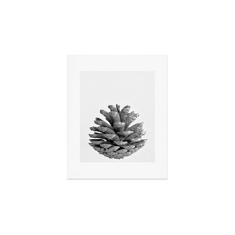 pinecone nature plants Art Print Gallery Image 1
