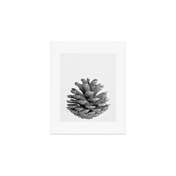 pinecone nature plants Art Print Gallery Image 1