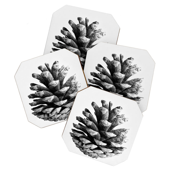 pinecone nature plants Coaster Gallery Image 1