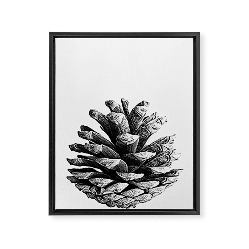 pinecone nature plants Framed Canvas Print Gallery Image 6