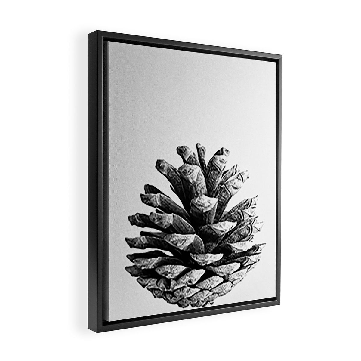 pinecone nature plants Framed Canvas Print Gallery Image 2