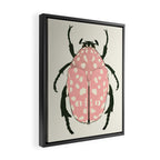  pink beetle insect Framed Canvas Print Gallery Image 2