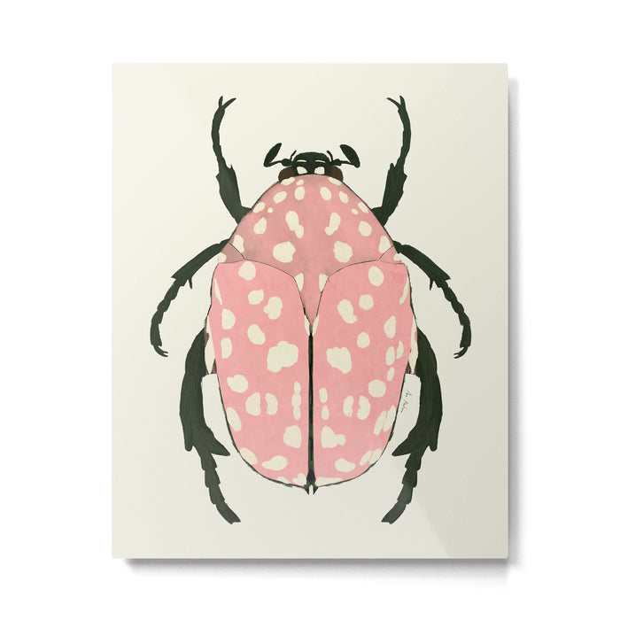  pink beetle insect Metal Print Gallery Image 1