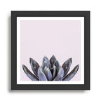 pink succulent cactus Framed Art Print Gallery Image 1