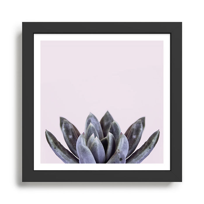 pink succulent cactus Framed Art Print Gallery Image 1
