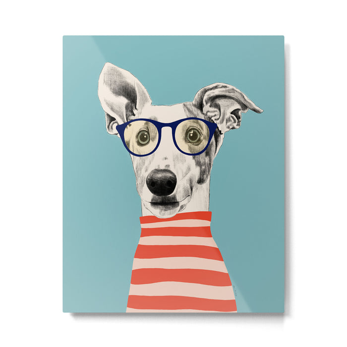 Portrait of a greyhound dog II Metal Print Gallery Image 1