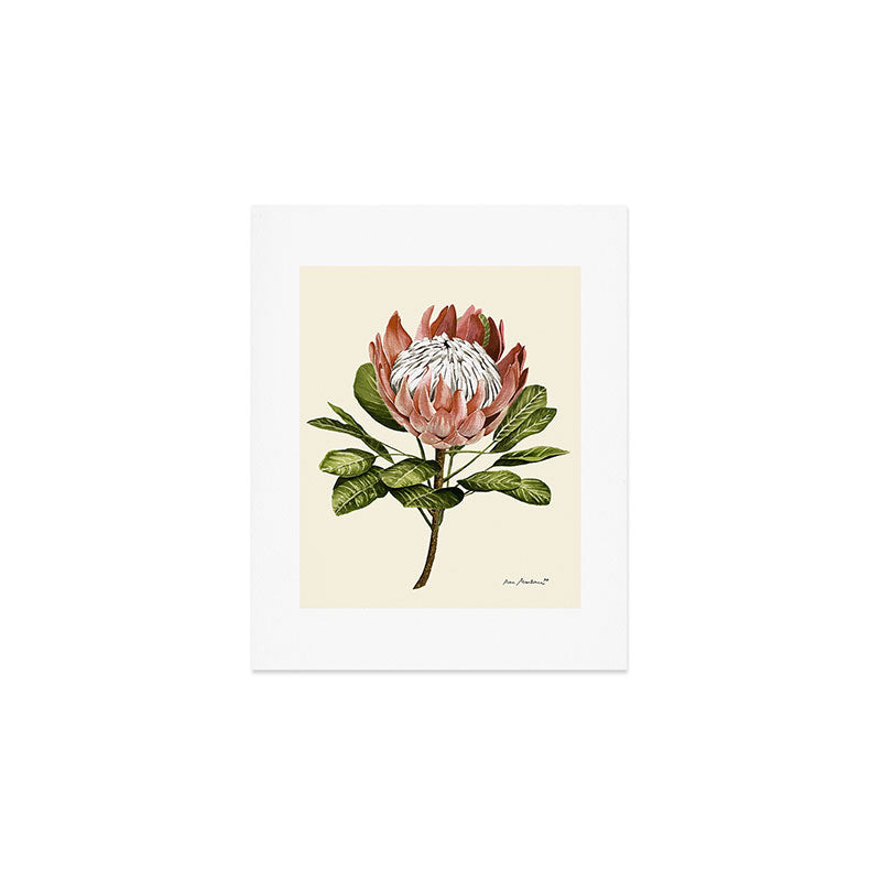 protea plant #watercolor Art Print Gallery Image 1