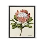 protea plant #watercolor Framed Canvas Print Gallery Image 6