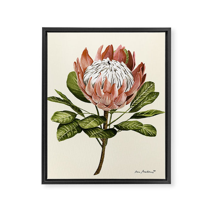protea plant #watercolor Framed Canvas Print Gallery Image 1