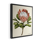 protea plant #watercolor Framed Canvas Print Gallery Image 2