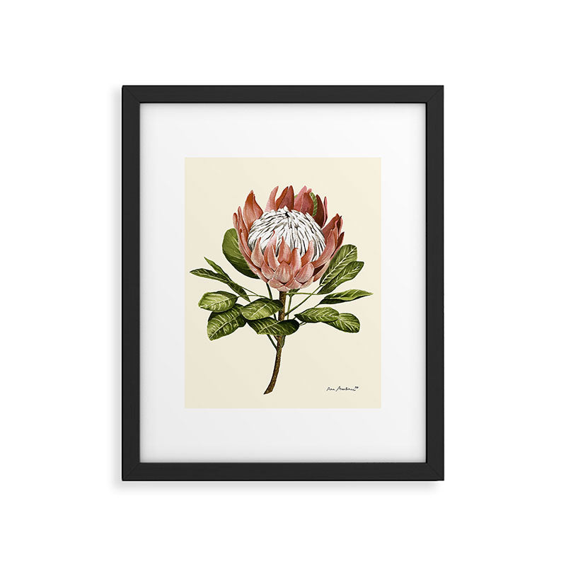 protea plant #watercolor Framed Art Print Gallery Image 5