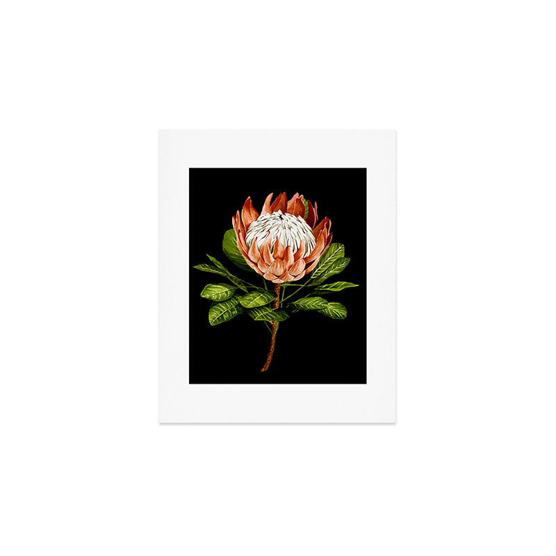 protea watercolor black Art Print Gallery Image 1