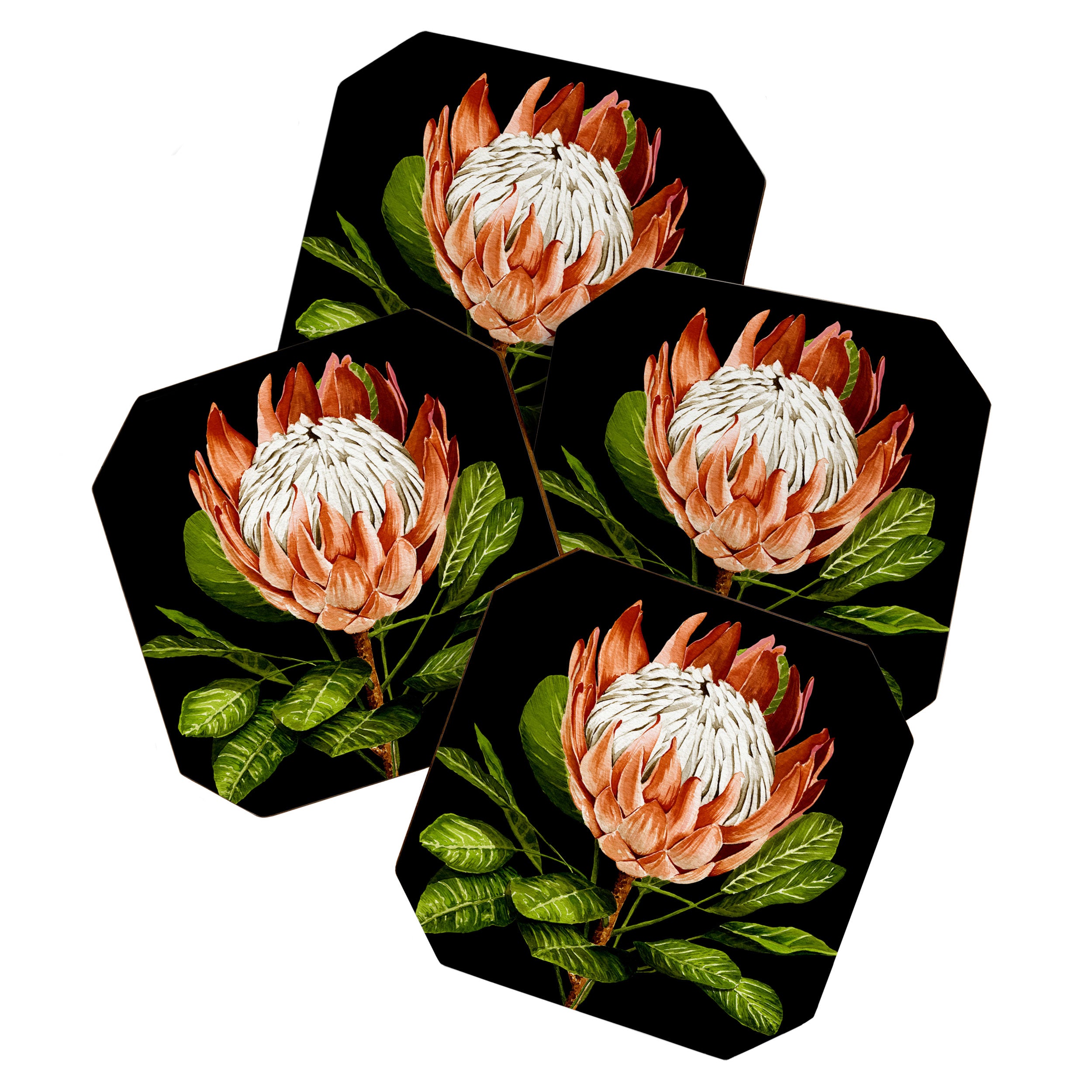 protea watercolor black Coaster Gallery Image 1