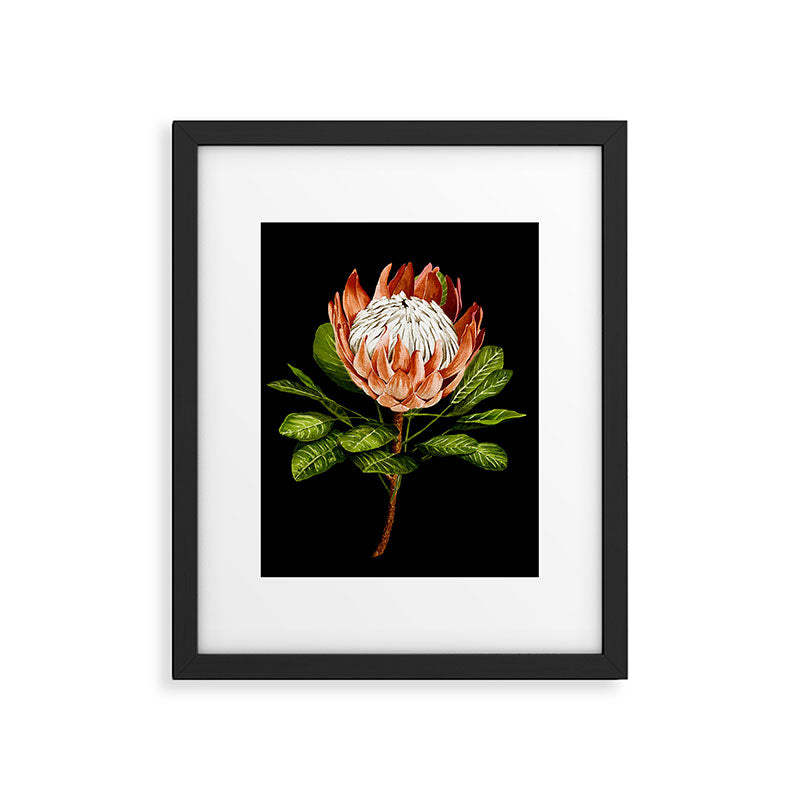 protea watercolor black Framed Art Print Gallery Image 4