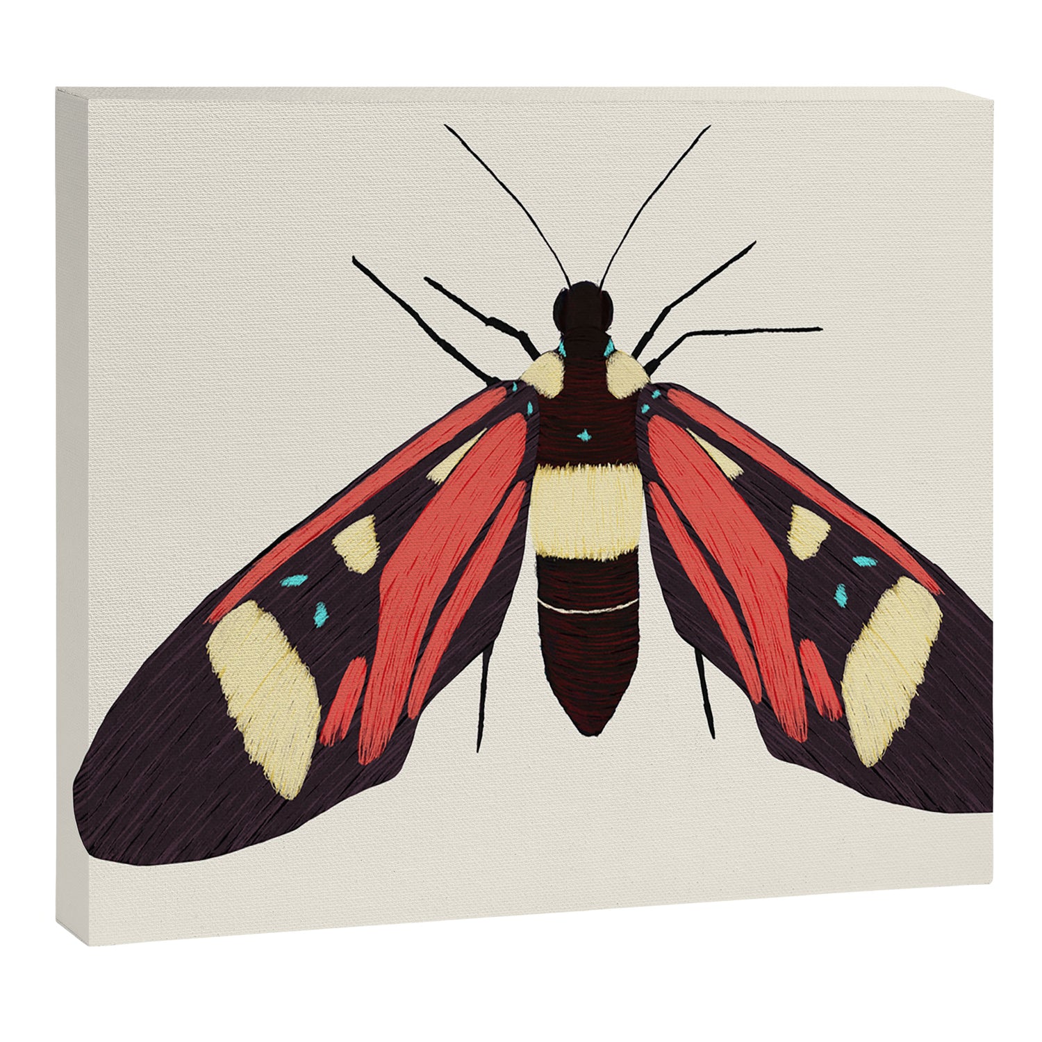  red butterfly Canvas Print Gallery Image 3