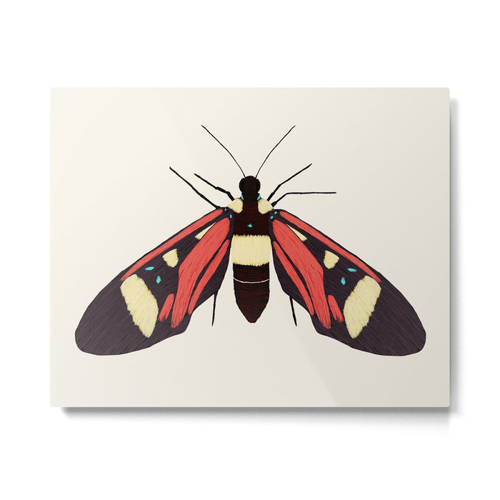  red butterfly Metal Print Gallery Image 1