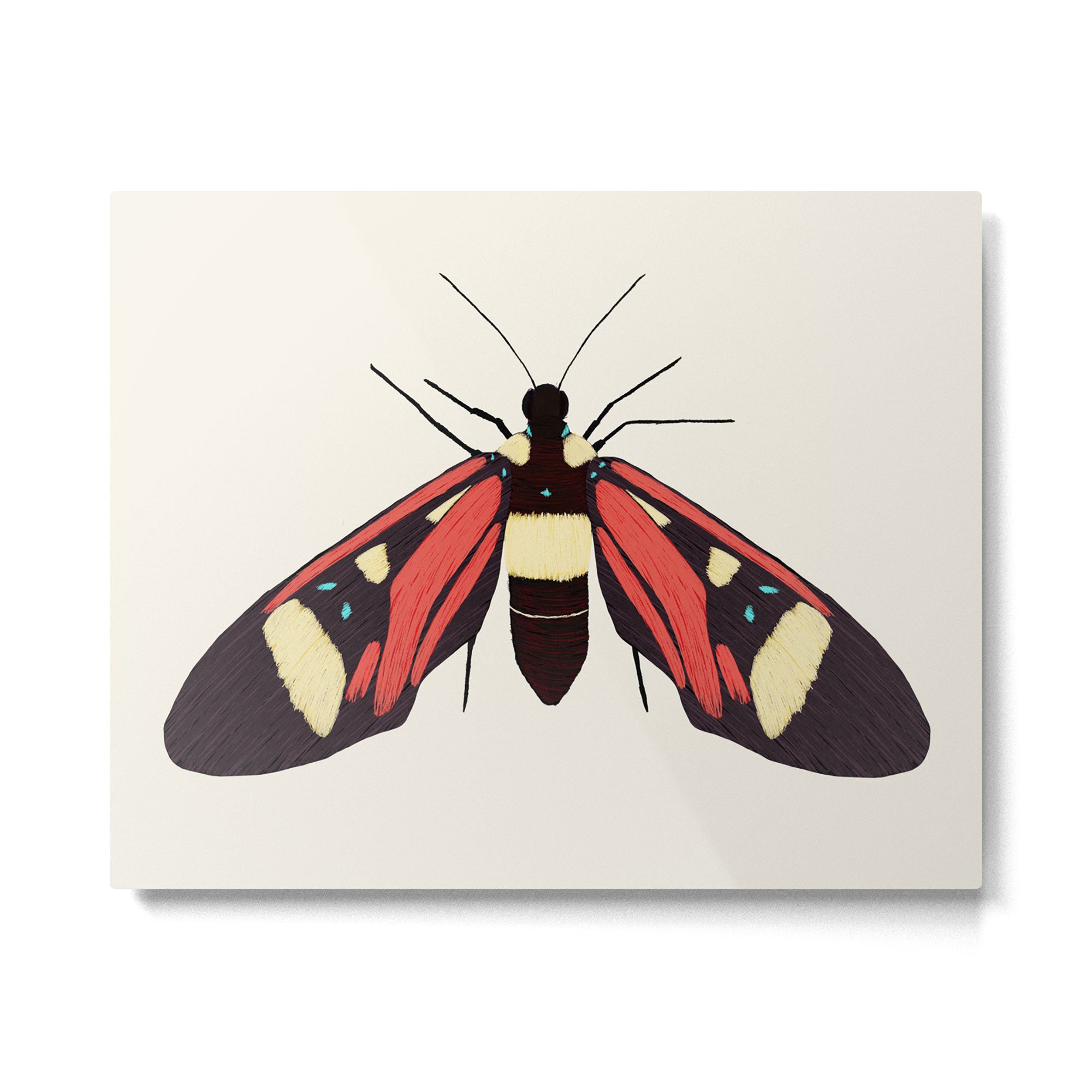  red butterfly Metal Print Gallery Image 4