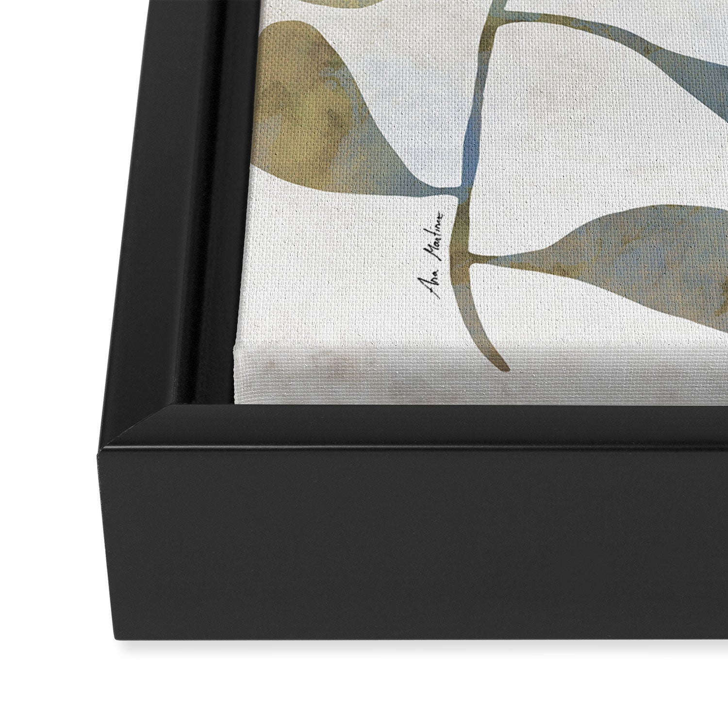 Silhouette plant acrylic Framed Canvas Print Gallery Image 3
