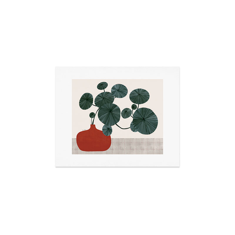 Stephonia Erecta plant Art Print Gallery Image 1