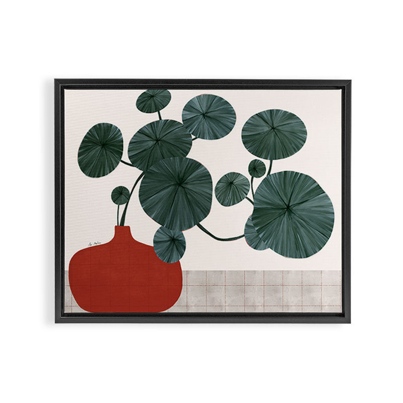 Stephonia Erecta plant Framed Canvas Print Gallery Image 3