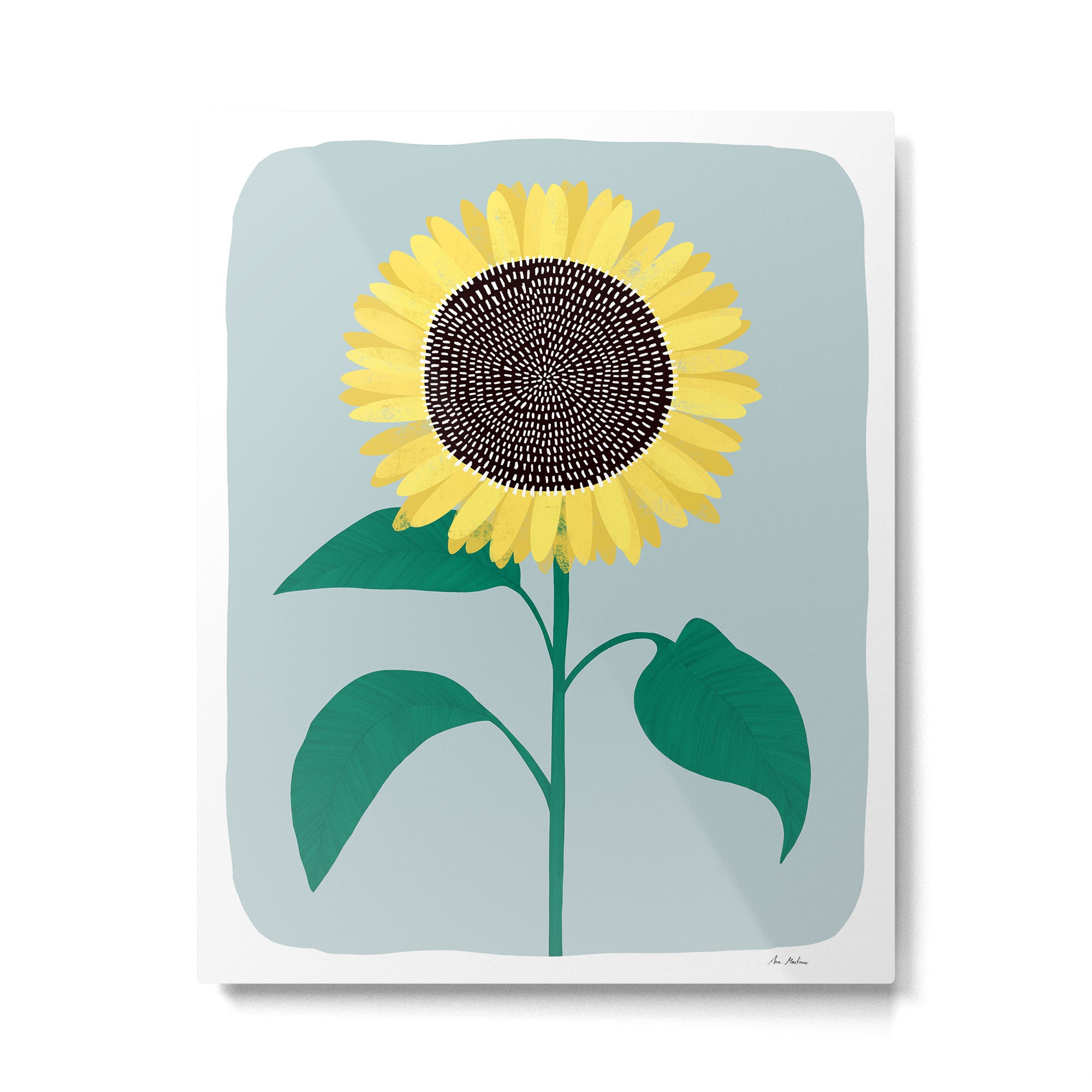 Sunflower Metal Print Gallery Image 4