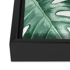 Watercolor monstera leaves Framed Canvas Print Gallery Image 3