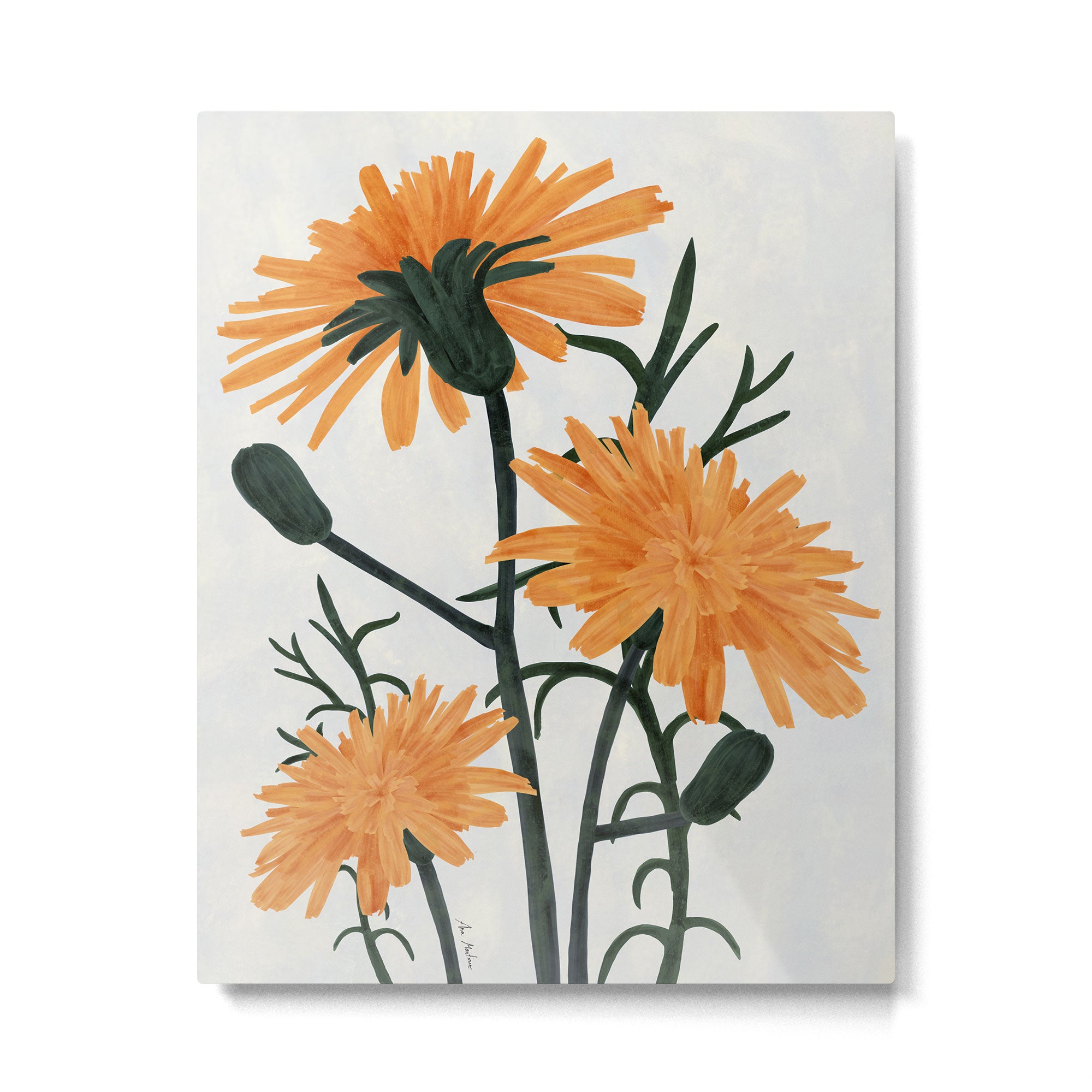 Wildflowers acrylic Metal Print Gallery Image 4