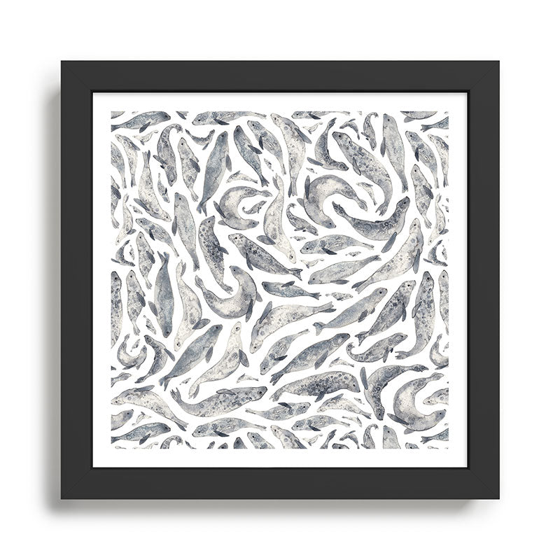 Seal Framed Art Print Gallery Image 1